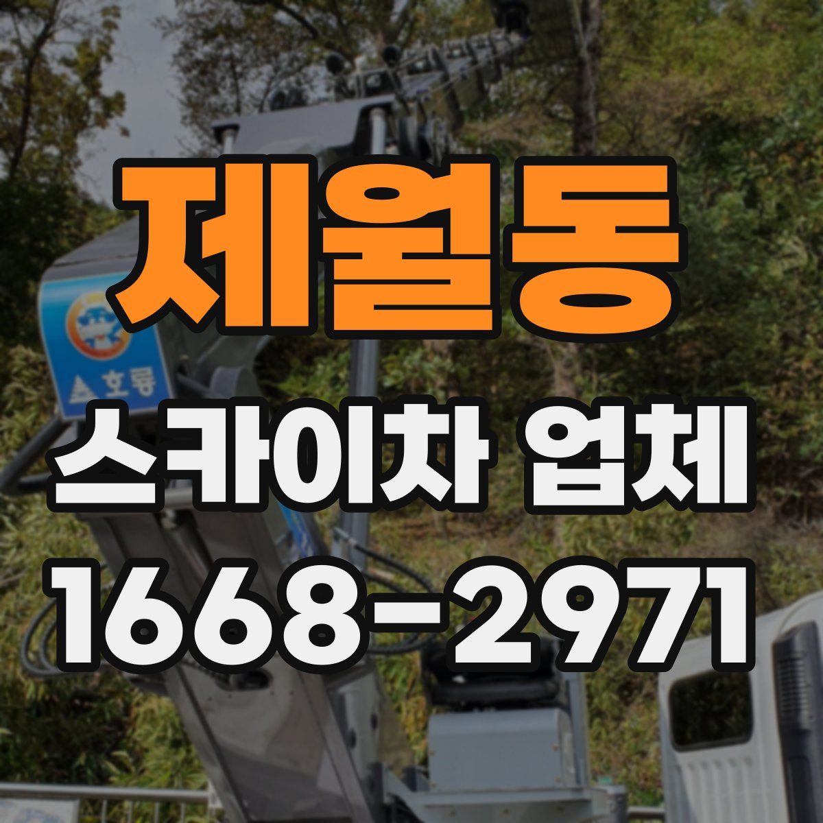 제월동 스카이차 업체
