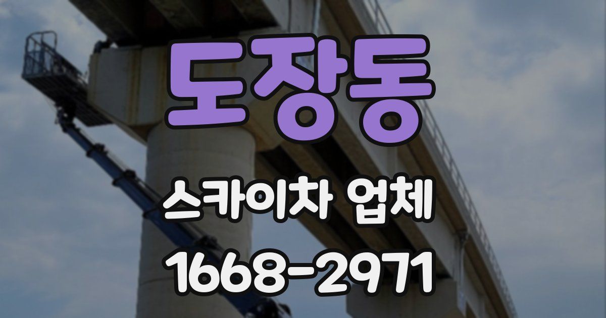 도장동 스카이차 업체