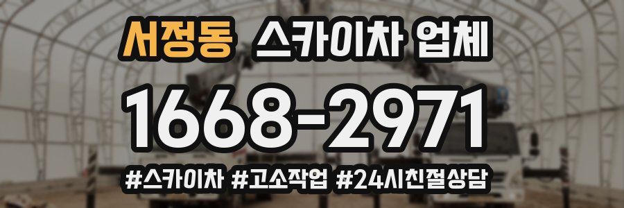 서정동 스카이차 업체