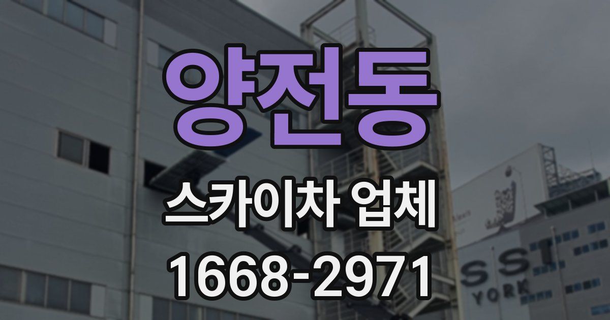 양전동 스카이차 업체