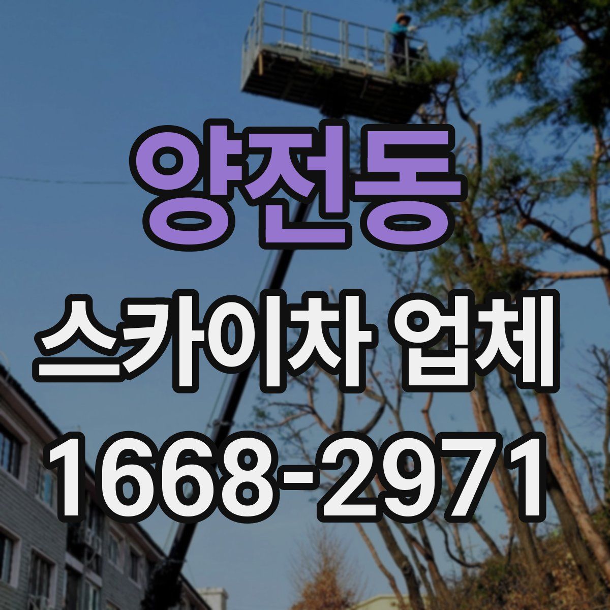 양전동 스카이차 업체