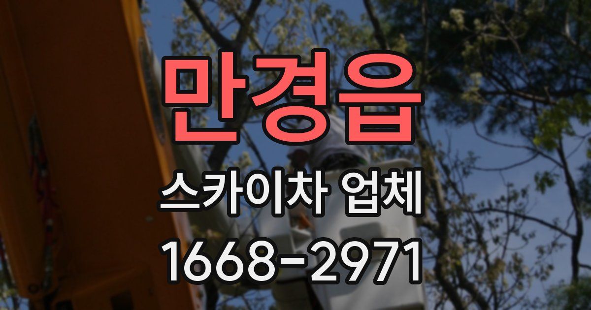 만경읍 스카이차 업체