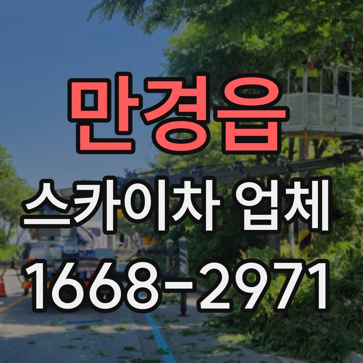 만경읍 스카이차 업체