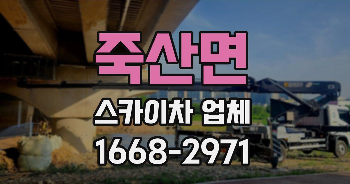 죽산면 스카이차 업체