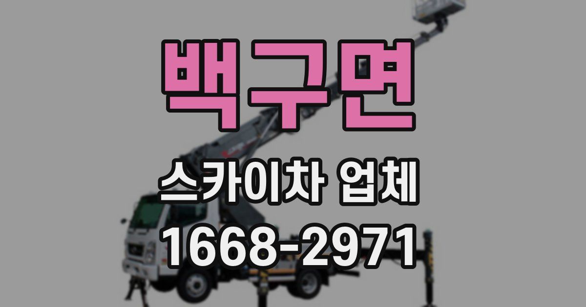 백구면 스카이차 업체