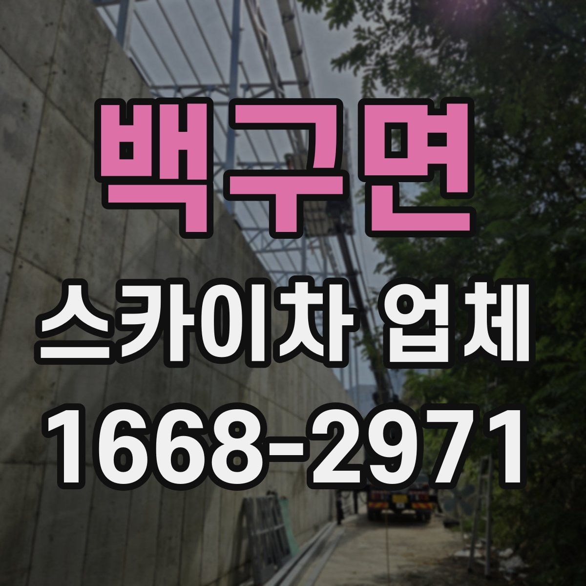 백구면 스카이차 업체