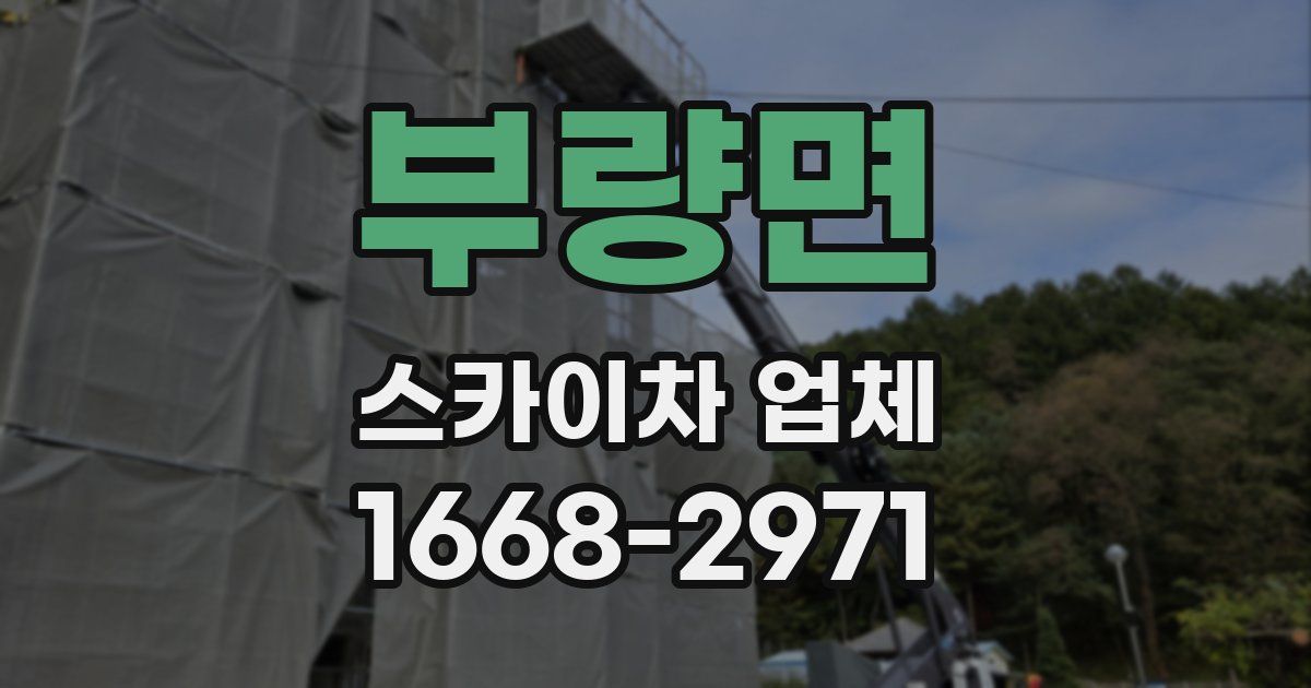 부량면 스카이차 업체