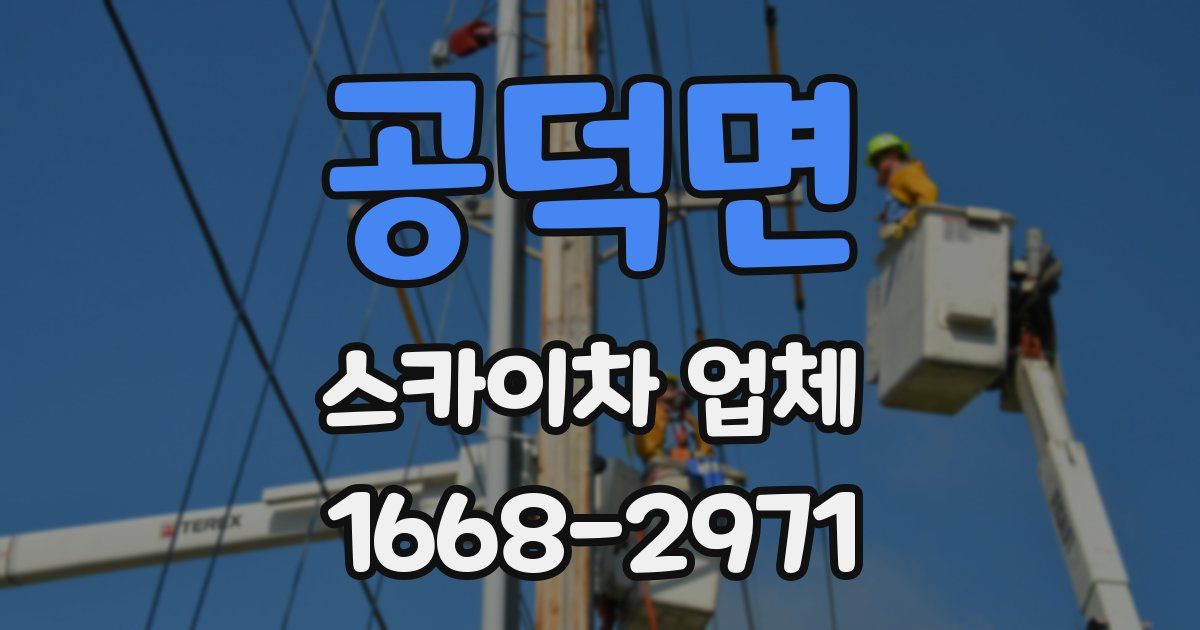 공덕면 스카이차 업체