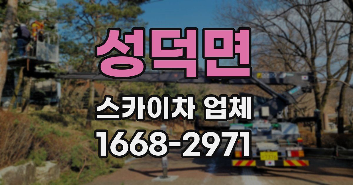 성덕면 스카이차 업체