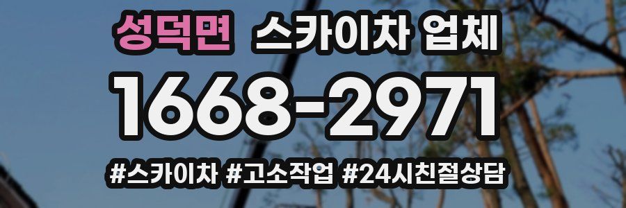 성덕면 스카이차 업체