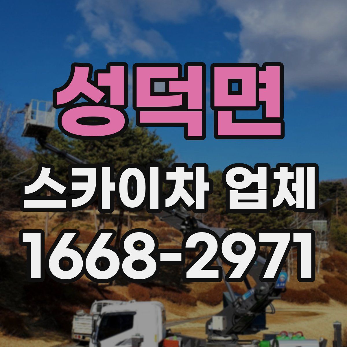 성덕면 스카이차 업체