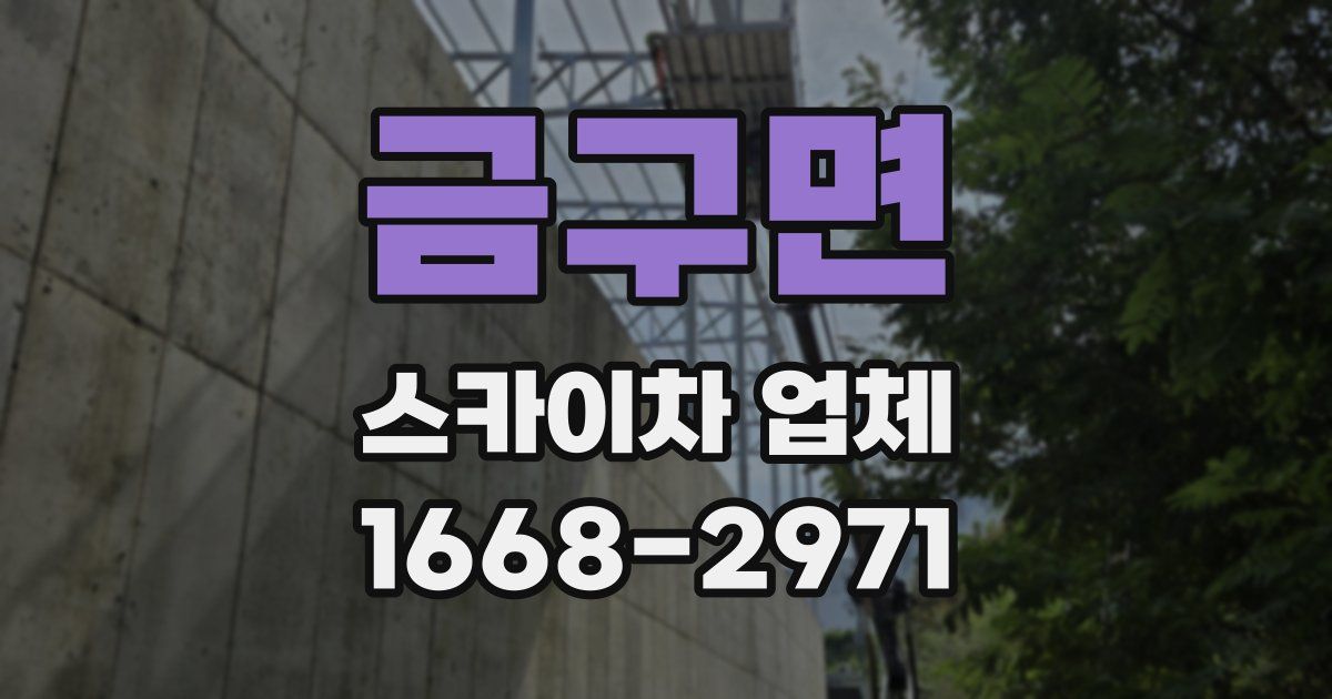 금구면 스카이차 업체