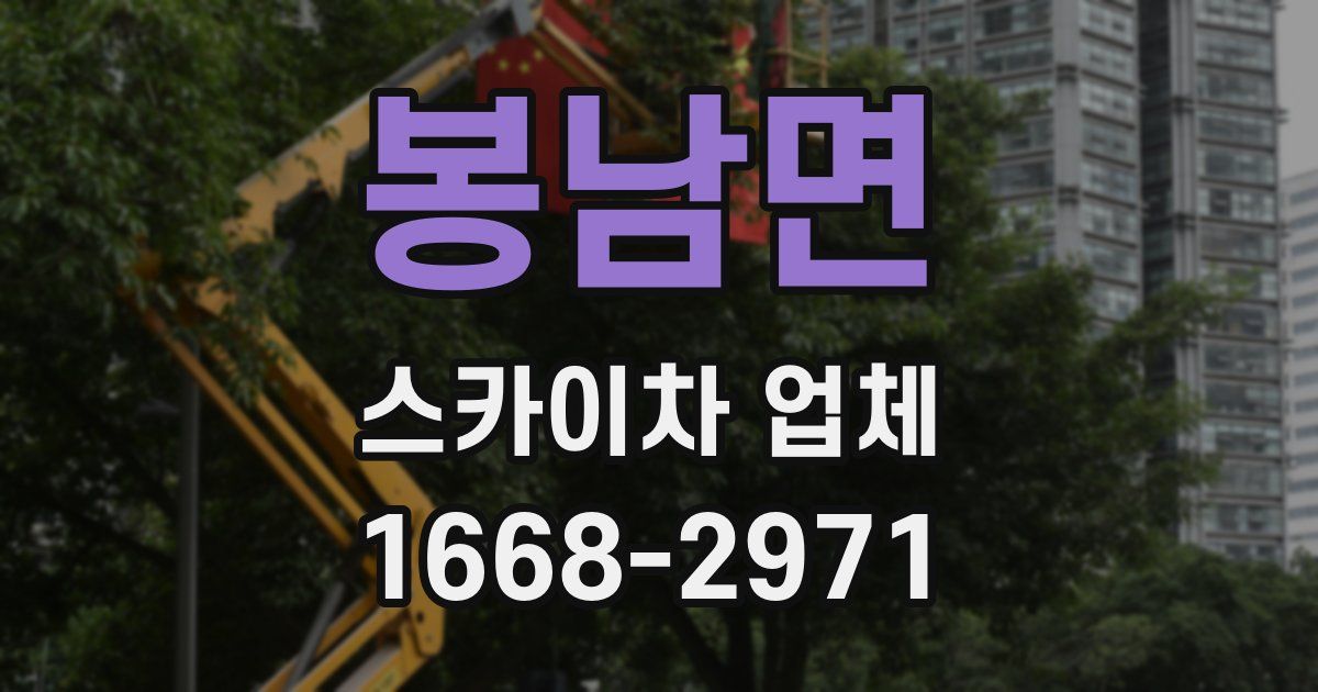 봉남면 스카이차 업체