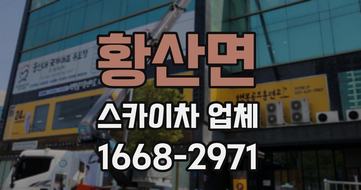 황산면 스카이차 업체