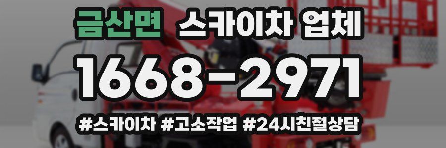 금산면 스카이차 업체
