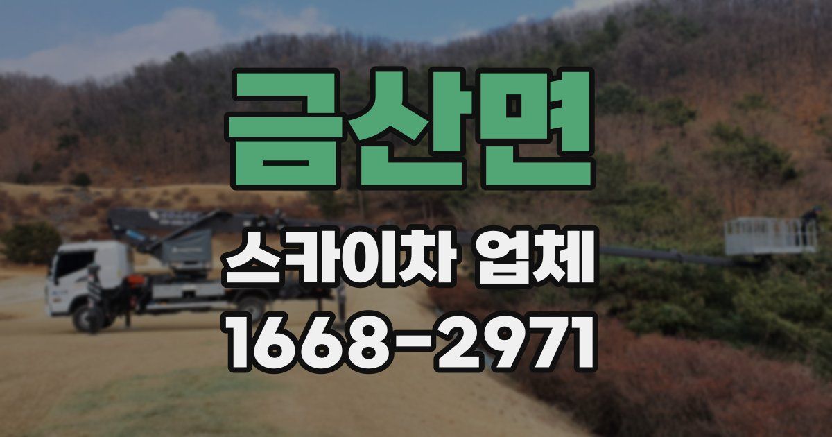 금산면 스카이차 업체