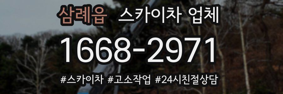삼례읍 스카이차 업체