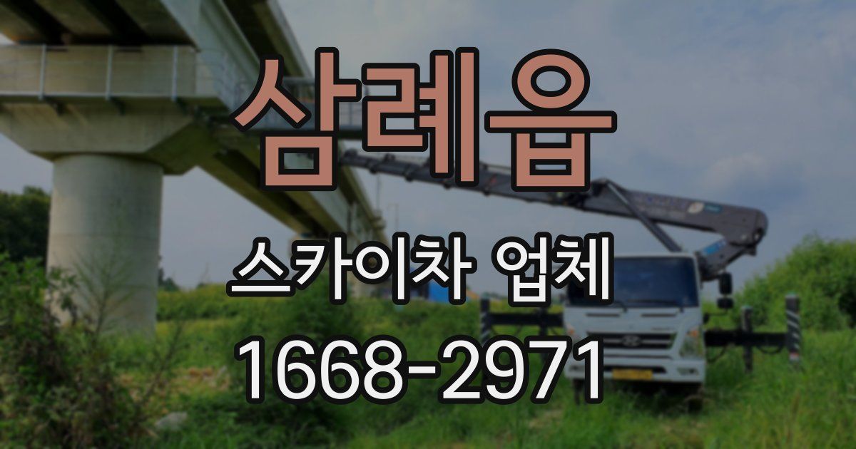 삼례읍 스카이차 업체
