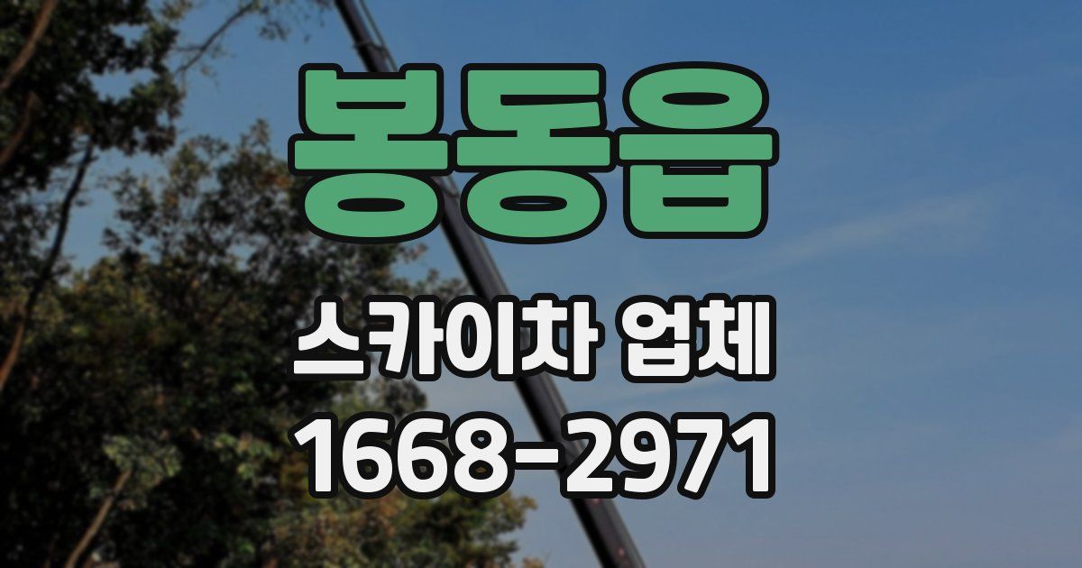 봉동읍 스카이차 업체