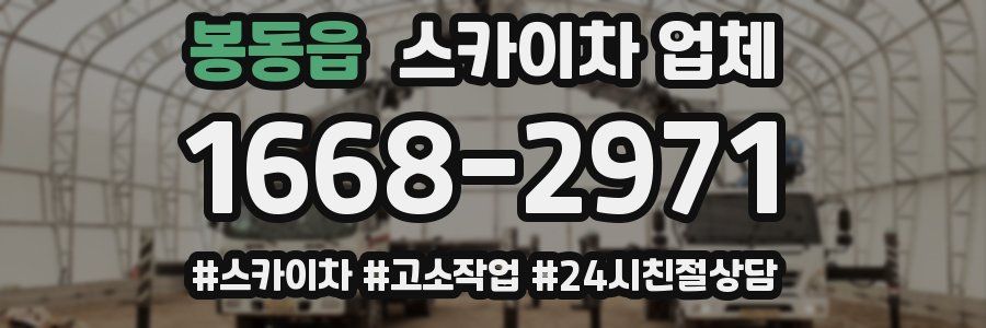 봉동읍 스카이차 업체