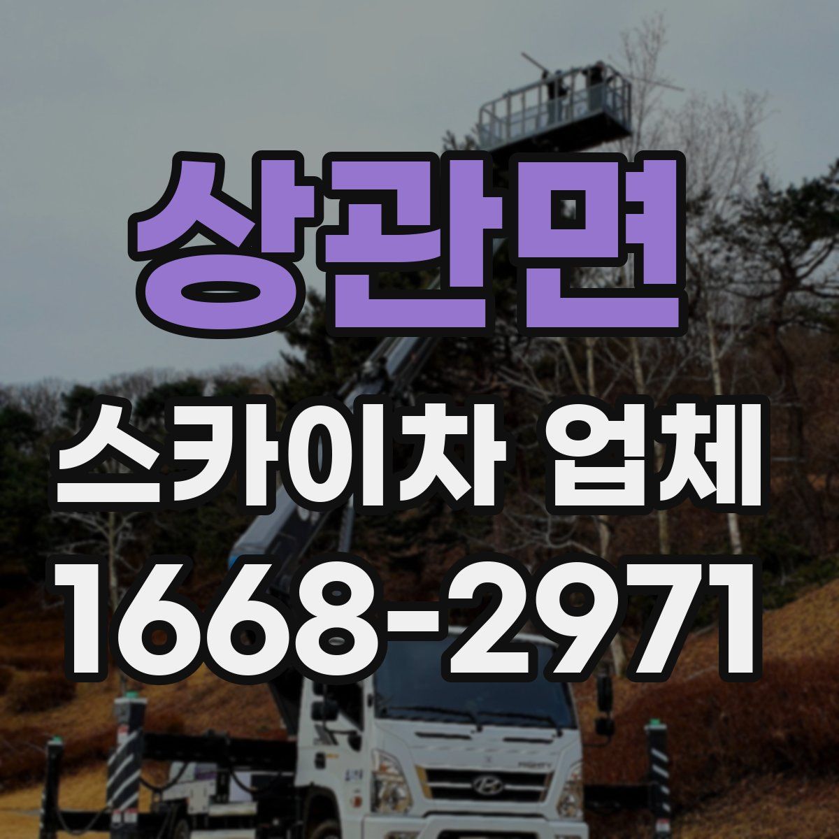 상관면 스카이차 업체