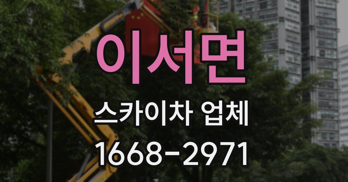 이서면 스카이차 업체