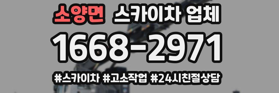 소양면 스카이차 업체