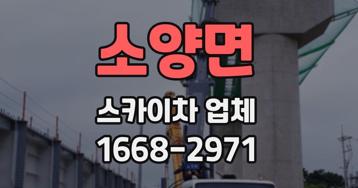 소양면 스카이차 업체