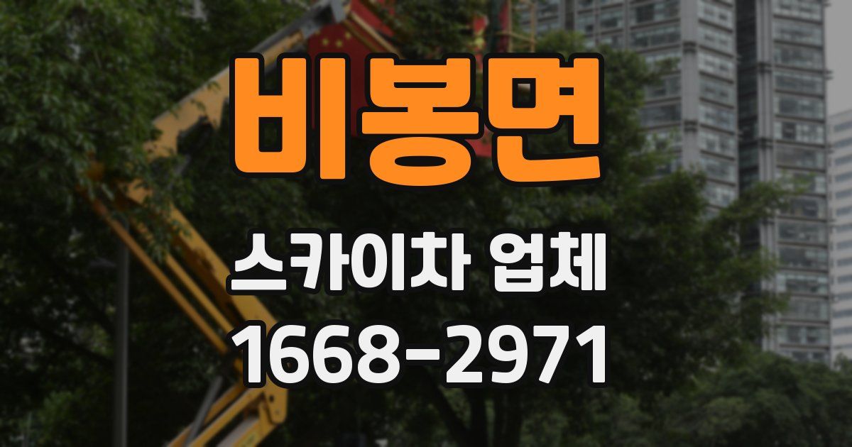 비봉면 스카이차 업체
