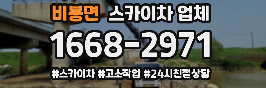 비봉면 스카이차 업체