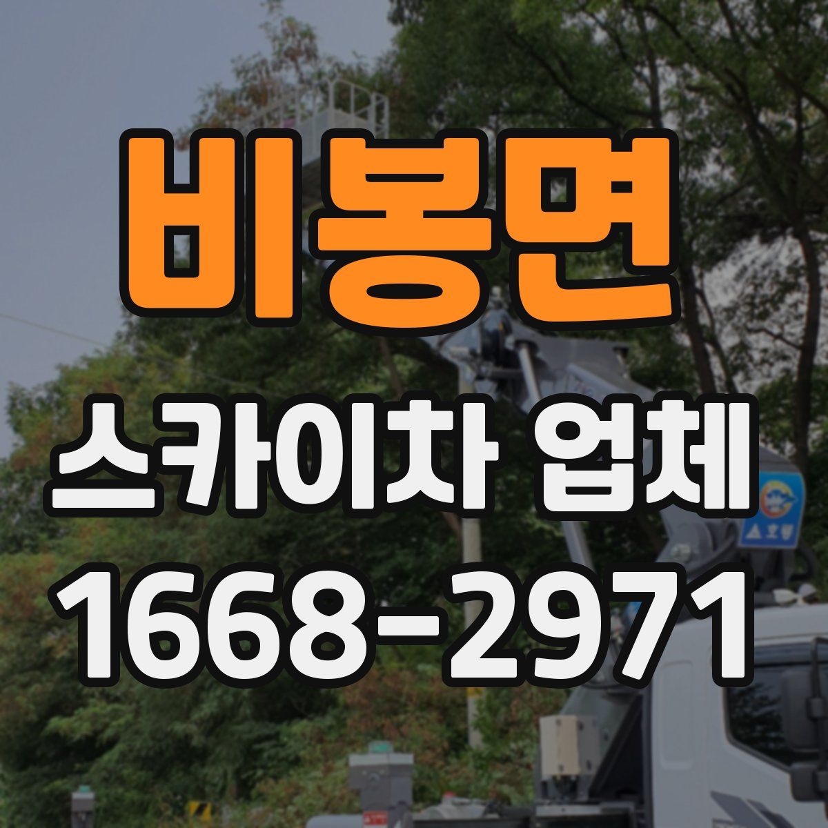 비봉면 스카이차 업체