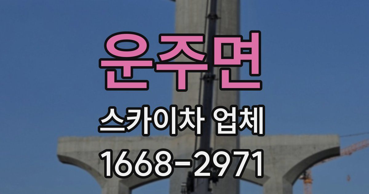 운주면 스카이차 업체