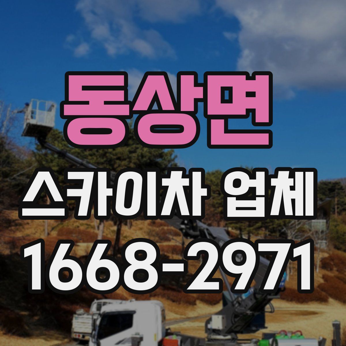 동상면 스카이차 업체