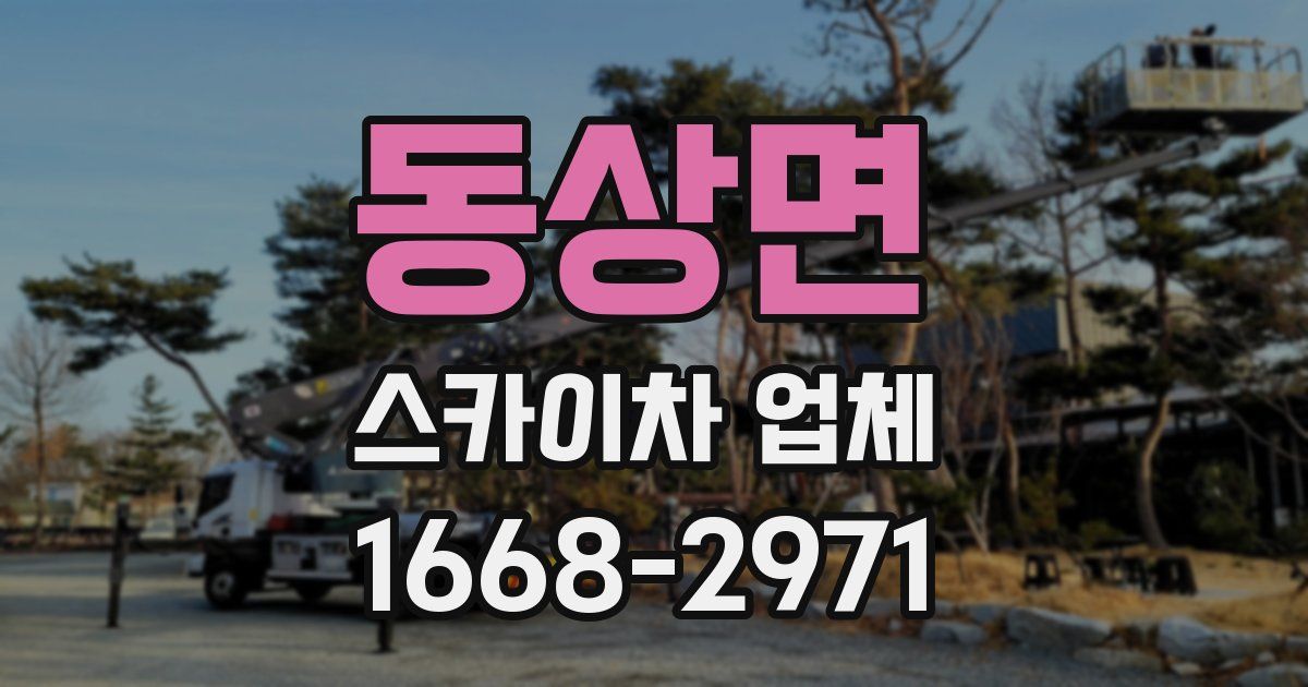 동상면 스카이차 업체