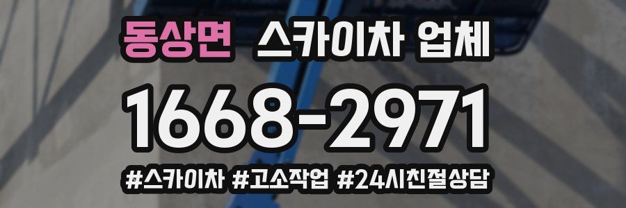 동상면 스카이차 업체