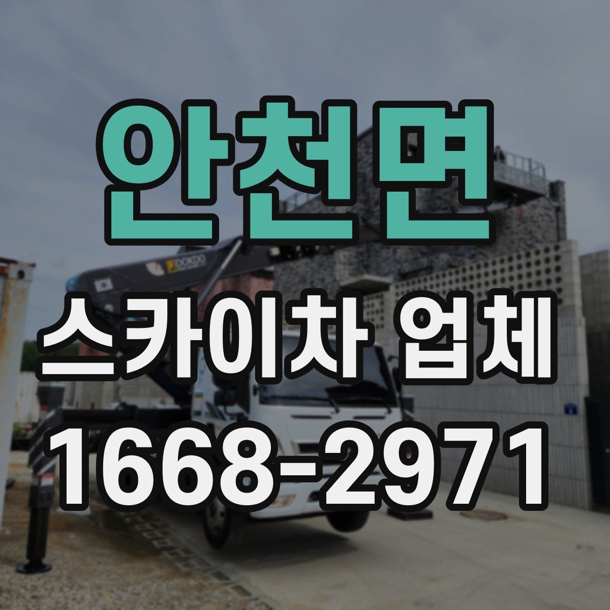 안천면 스카이차 업체