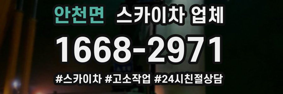 안천면 스카이차 업체