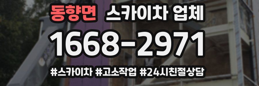 동향면 스카이차 업체