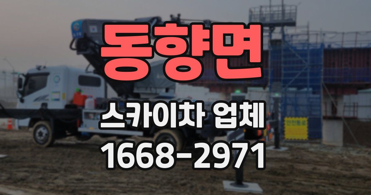 동향면 스카이차 업체