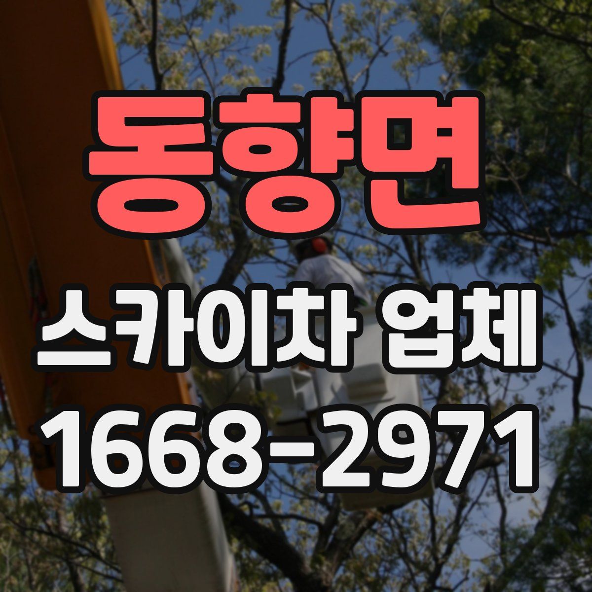 동향면 스카이차 업체