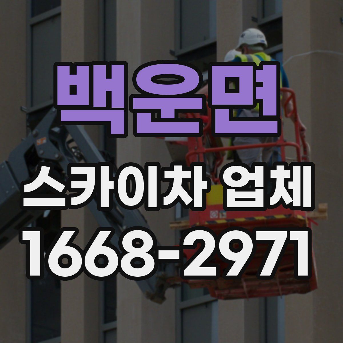 백운면 스카이차 업체
