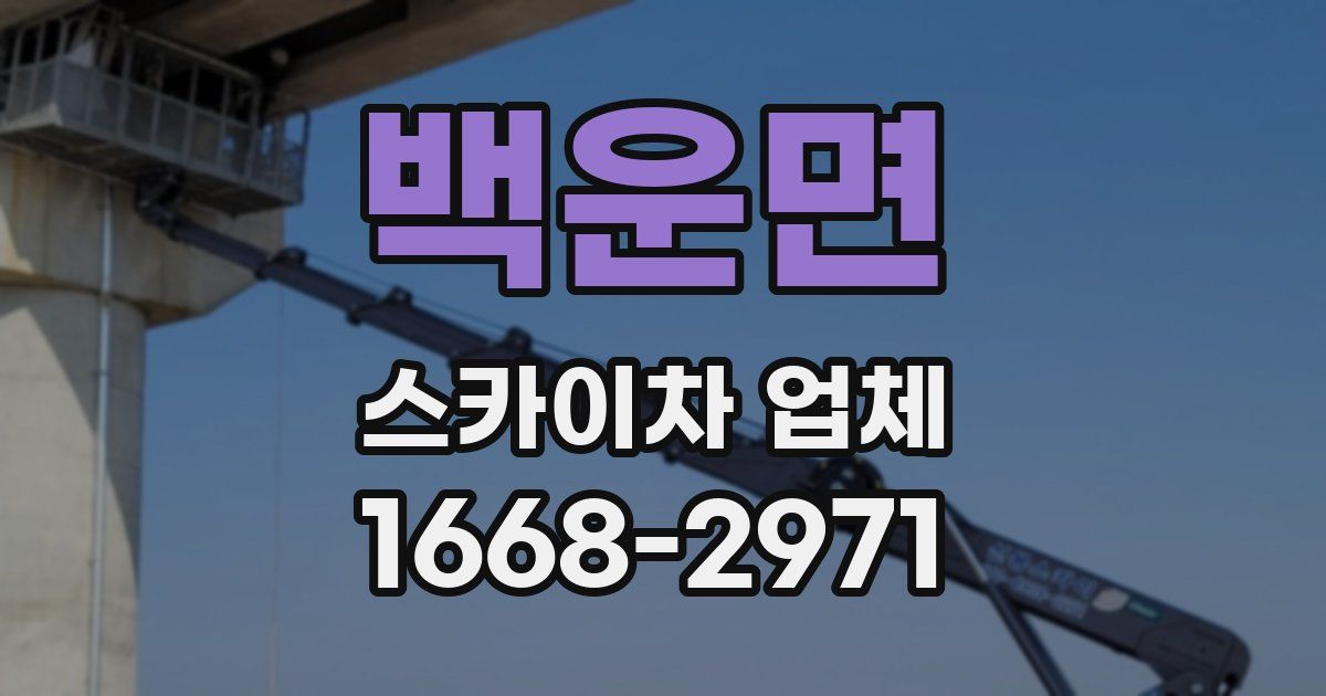 백운면 스카이차 업체