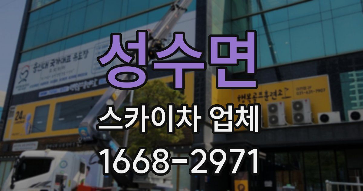 성수면 스카이차 업체
