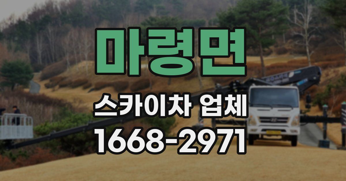 마령면 스카이차 업체