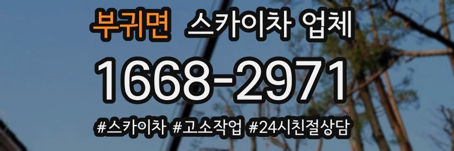 부귀면 스카이차 업체
