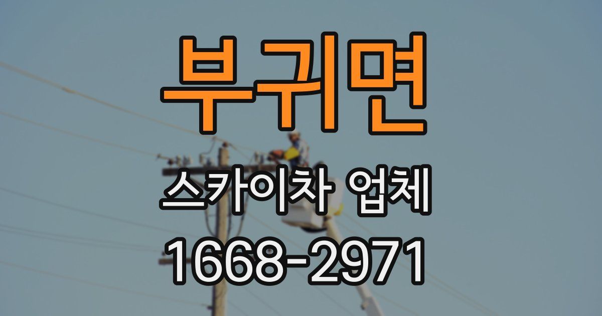 부귀면 스카이차 업체