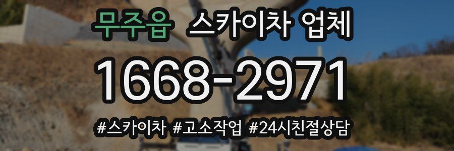 무주읍 스카이차 업체
