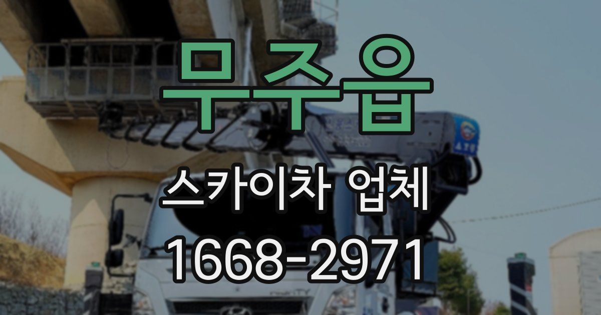 무주읍 스카이차 업체