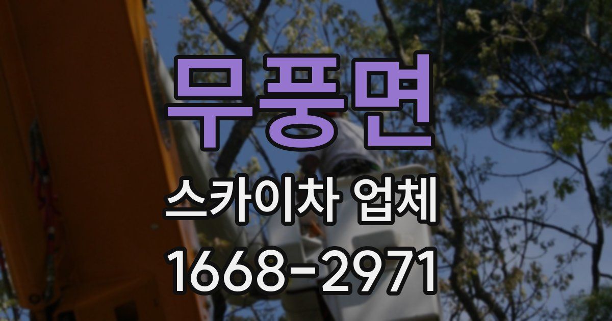 무풍면 스카이차 업체