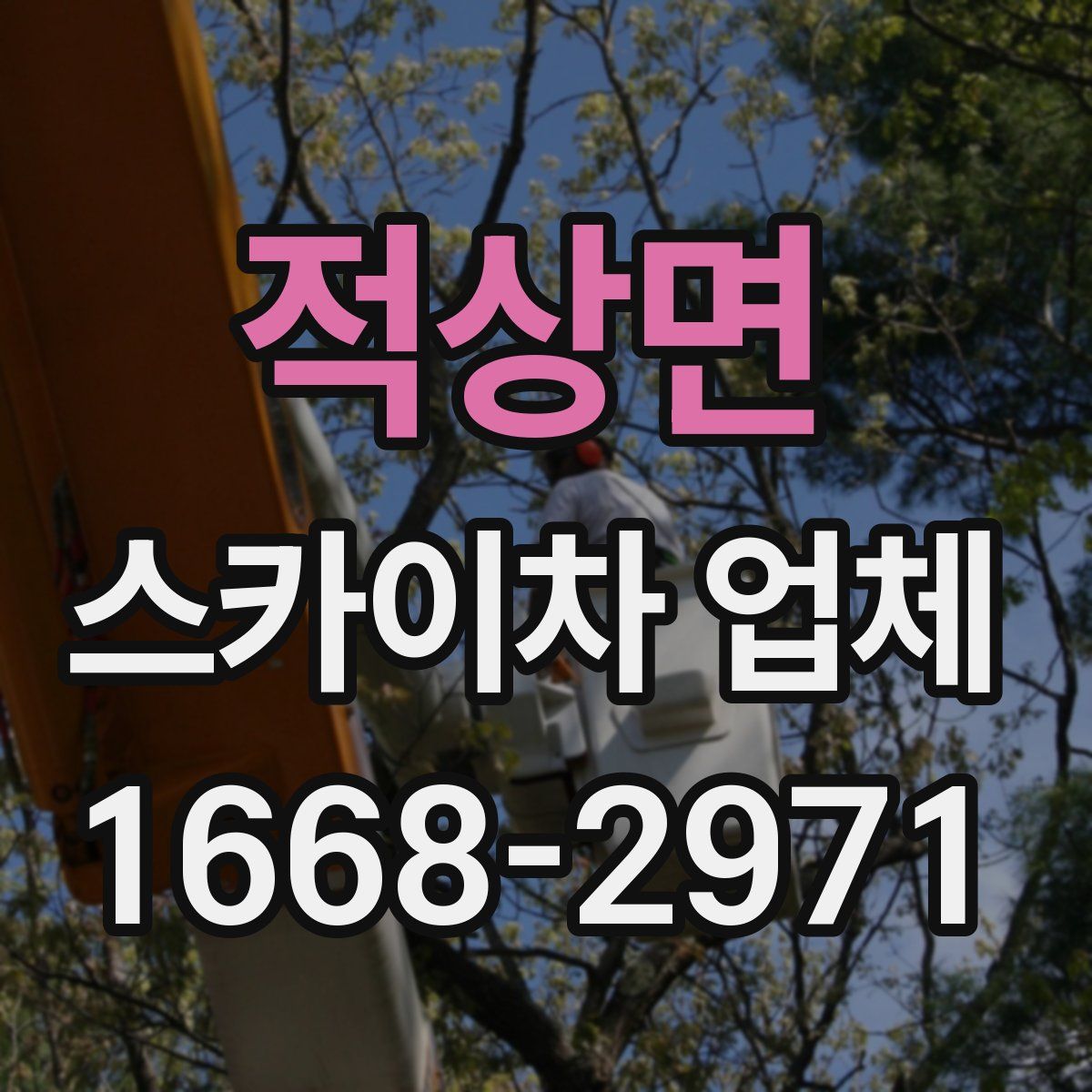적상면 스카이차 업체